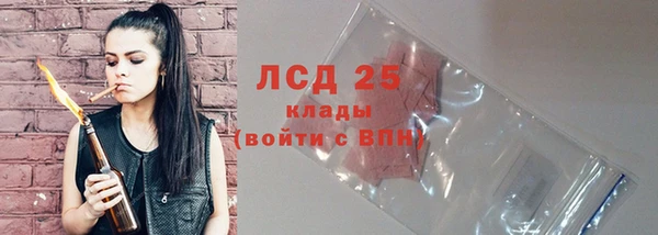 PSILOCYBIN Беломорск