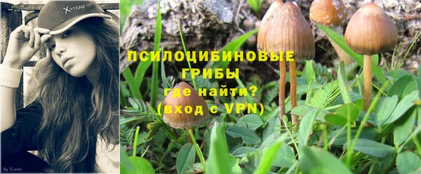 каннабис Белокуриха